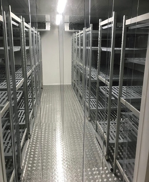 Mobile shelving system for lab freezer